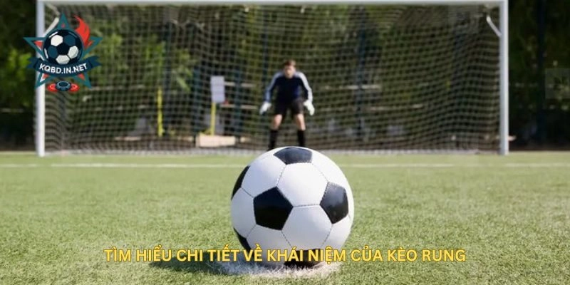 Kèo Rung Là Gì? Kinh Nghiệm Bắt Kèo Rung Hiệu Quả Từ KQBD